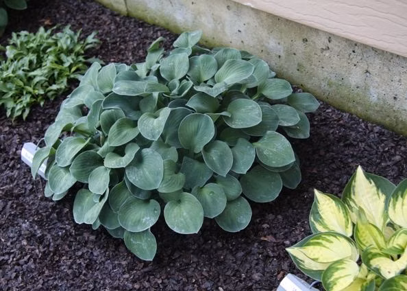 ef566268ab655e7725504a044682e220