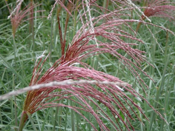 ef73dc4467e3accef0444032b2153deb