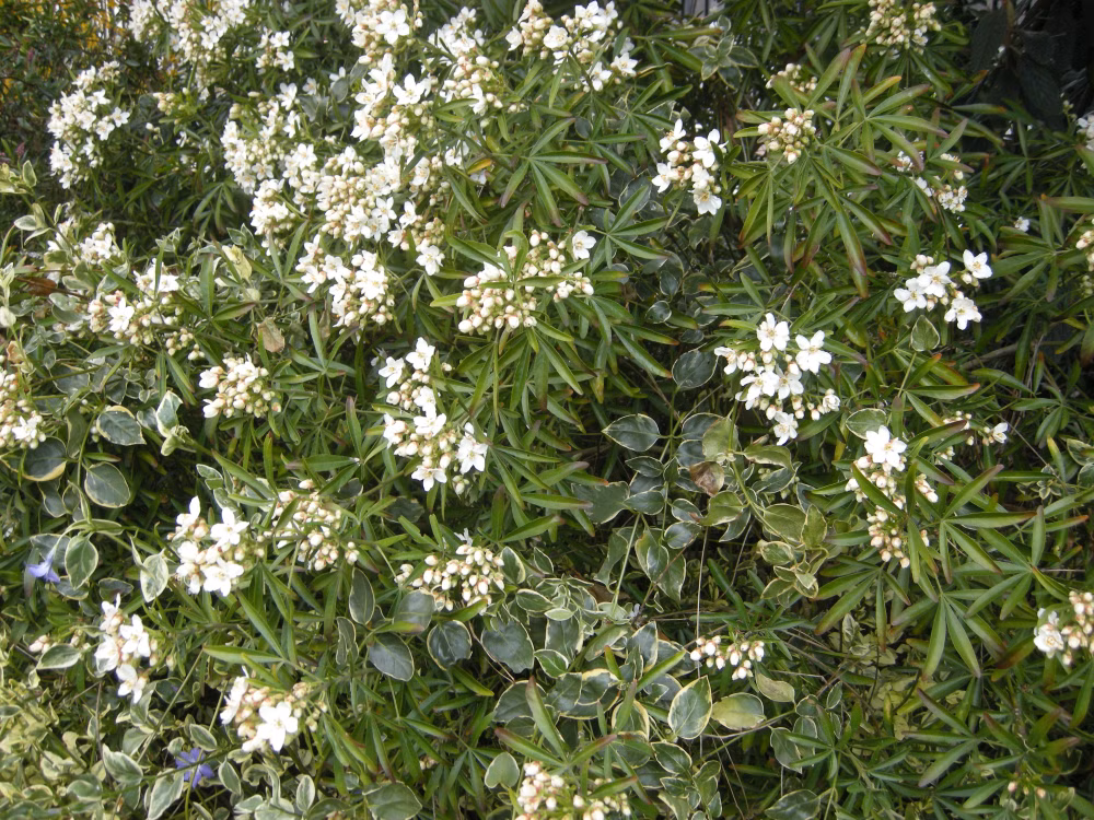 efd2a8a262f3b945d6c6b34280baeb7e