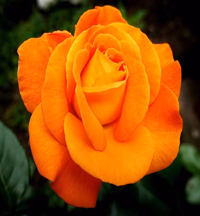 eff79971b2eb0a9a3f95a72c45f58658