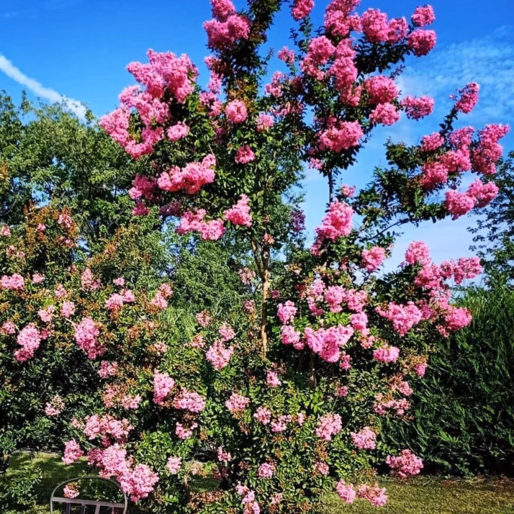 f0214da140c6edd6b61293536386efc3