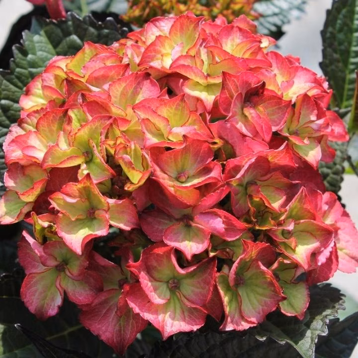 f04bc4a03a8438fce18546b033eb1b0f