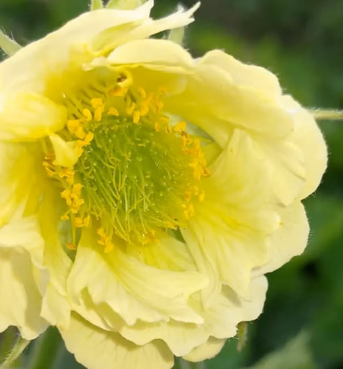 f086f6cf539d8b75592d4c3720bf5b8b