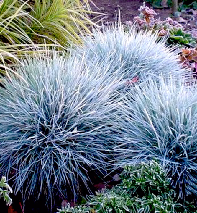 f094fcac76b3e0e6560a0e76e657c929