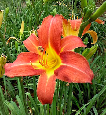 f0a49ab86d888dc4c7635a50f839f966