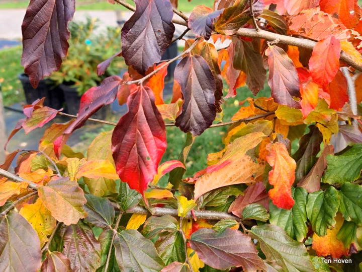 f0a54c35c607eacc99e3577ab90d8303