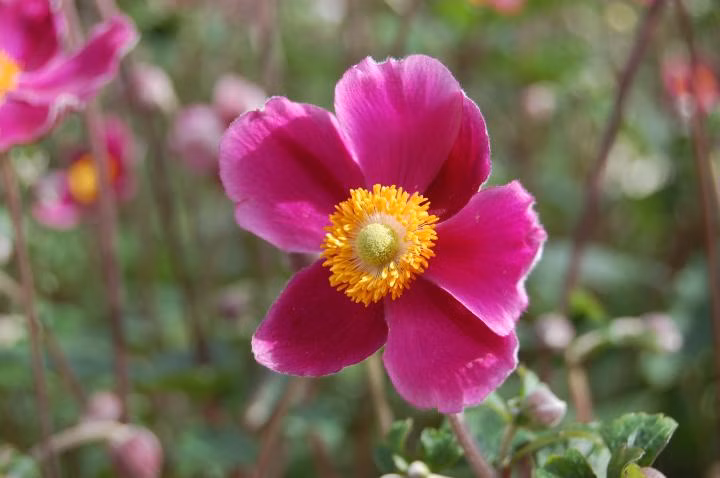 f0af97548d5fce8286244f3154c848ad