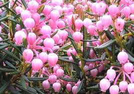 f0f1cda01ac7f0eb9bb8b8356fde38a4