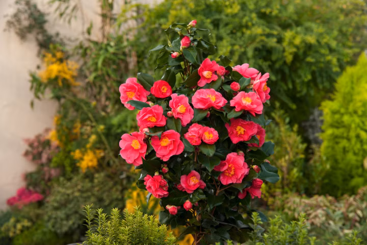 f0f3feeb3b9e1860e6fd726664ce0abc