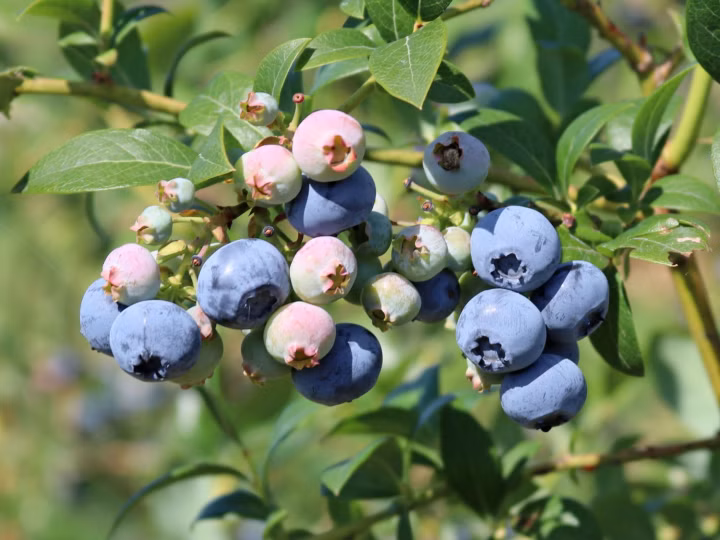 f0f91c54e04be21e710d333cfa5ac22a