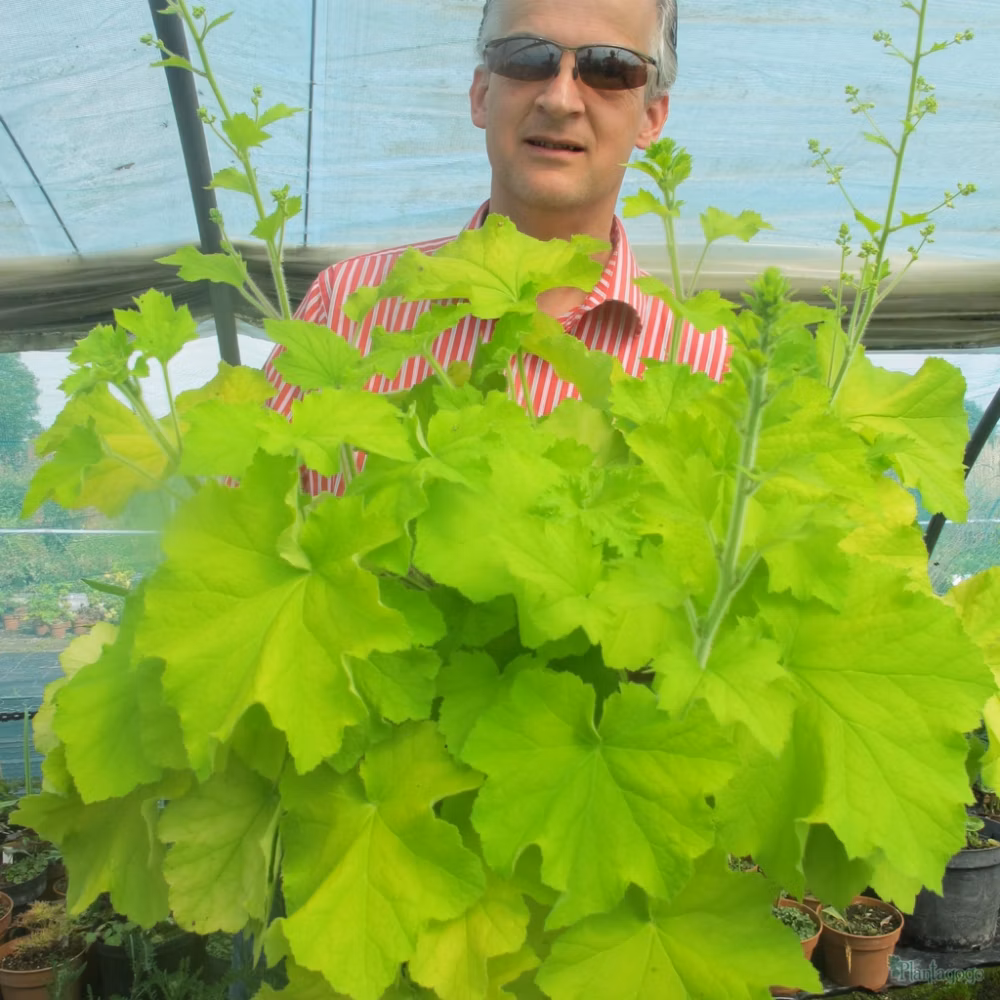 f111640a893f6f11f1806dc2a597a9e1