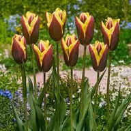 f14075c85d7819f77b473db8a34c44da