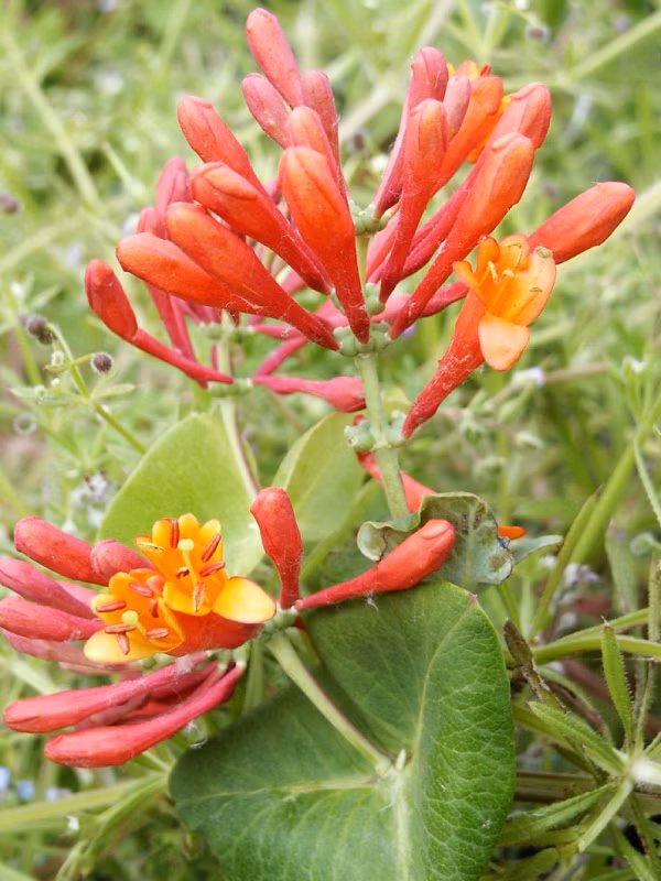 f144c2e9eeaa452dbbe9bc56037f71fd