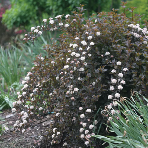 f1604e507364e831fe95cd707fe6212d