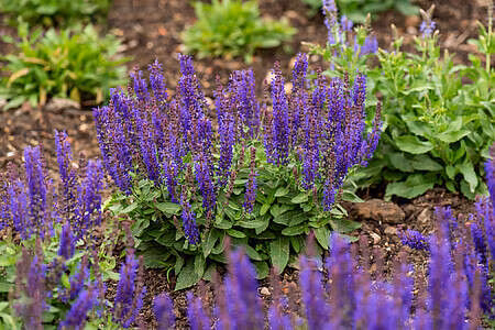 f195a835e3ae6335bbdaa61a9ca27de5