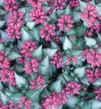 f1d56eede211a1e891b9a84ee6f94216