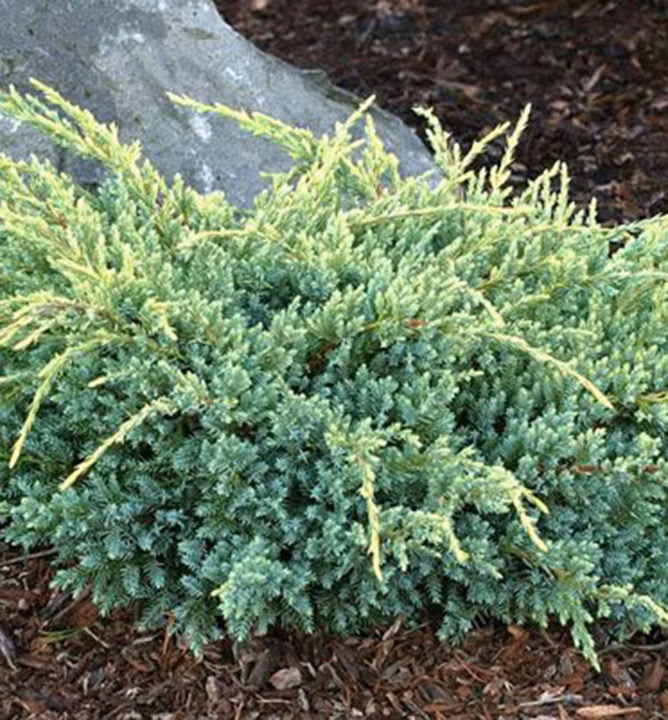 f212fa984c34b7c152f7897e05b975b5