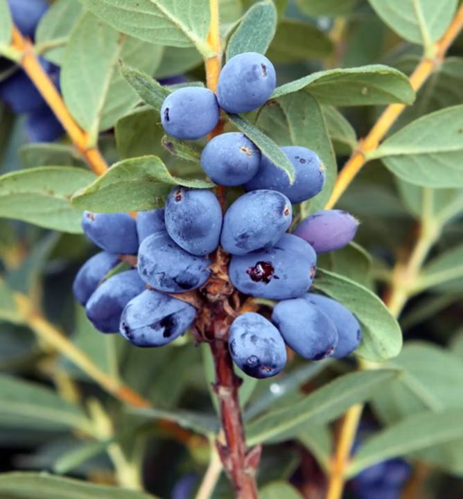 f246201490817fe0b64c0f3a91ab745b