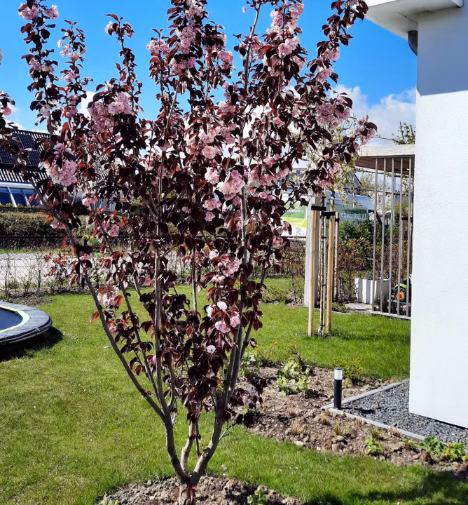 f24dbdbea59030a9fb2d0d88ffae0671