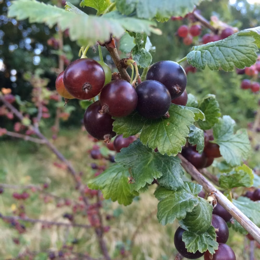 f26f437f2ec3f6a95c959a125cc2621a