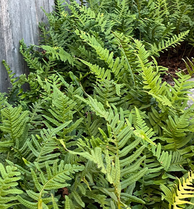 f27bea72fd0f4956e200209b64c9f0bb