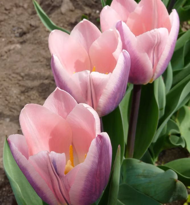 f286b092e8b4b030f8ad9b6e6b95ae30