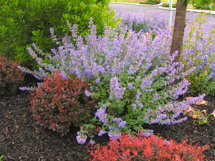 f2a4e87652a9a9919063c5cb851e15d6