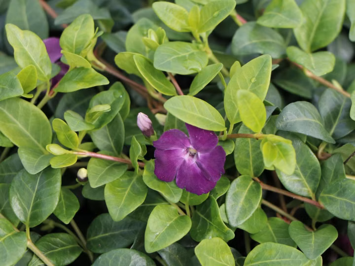 f2ae3539c144cb4a0f8f01ee035b7bb3