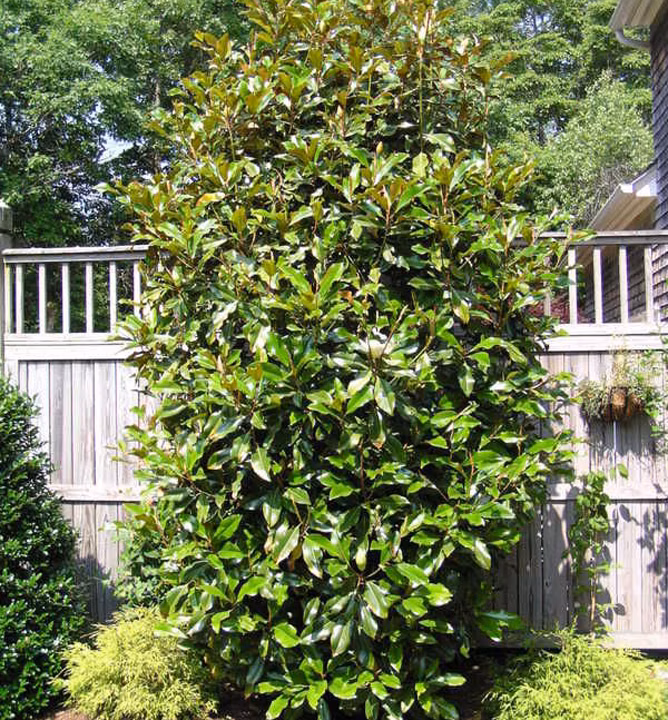 f2f28d5937a9c31ee3fce18288801b31