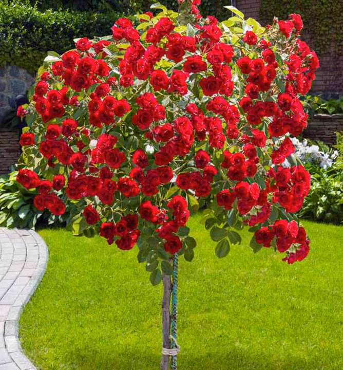 f30d02fa0960ee69fd141ba647c51b0e