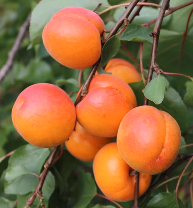 f32bb4804b94a9f5bf49674287c8a68d