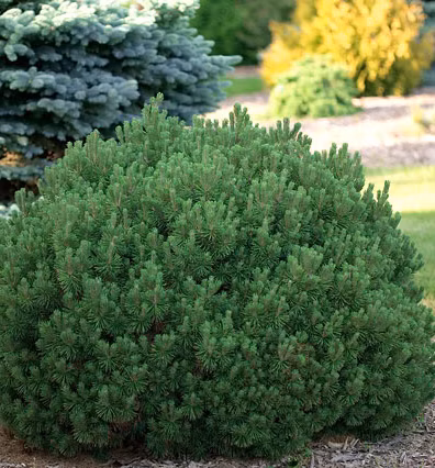 f34e5d3ec7bbc1ecdbe1570b36381b8c