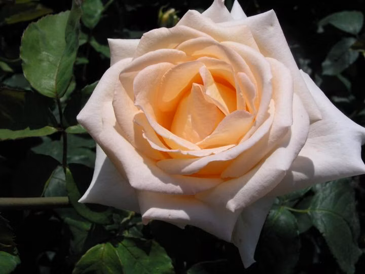 f3c7ae03a1a9b29b7319cffe919089b2