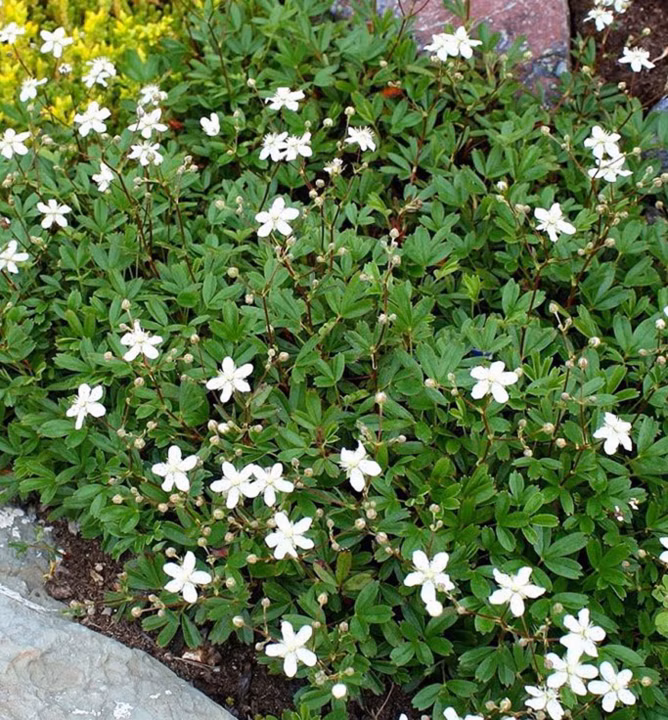 f3dfee495014968f97b7e50aac411a9c