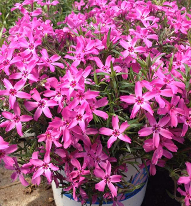 f3f1eadcae0853b70124becb0e3527a2