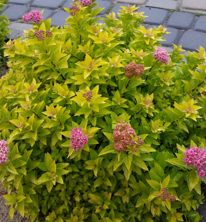 f3f4cb4eb7350182c1e8b3a5ad56d042