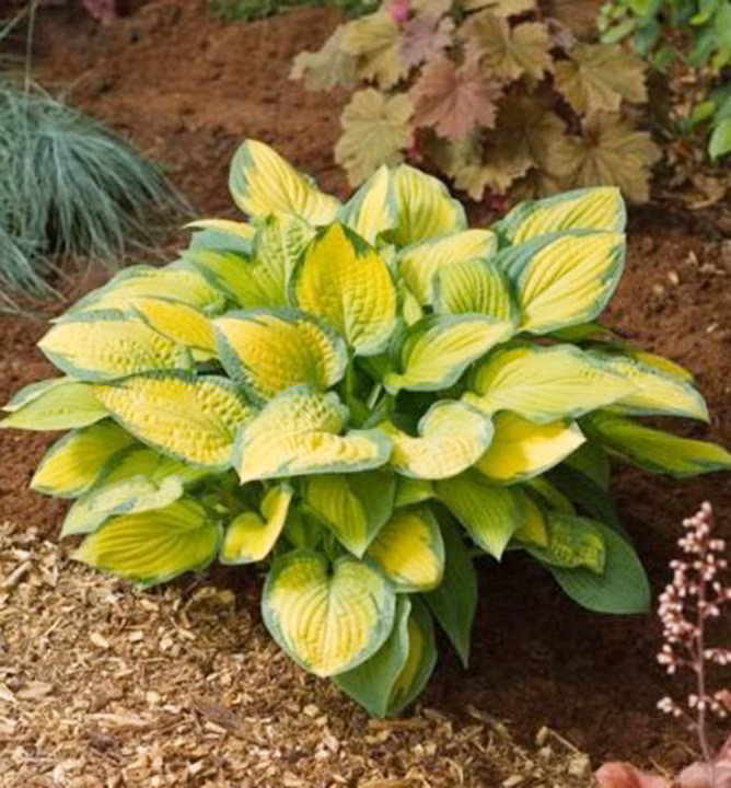 f40c3d1df1a9fc277232cbeed1bd2b31