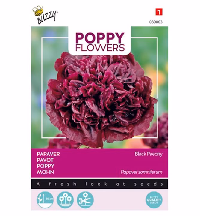 f4356baaf62e3cdbb616aef76e4e3fab