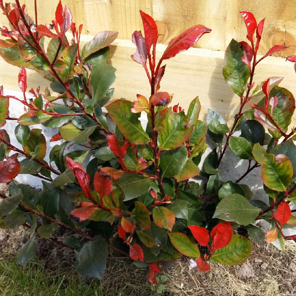 f457d328237e7f2ef2d48fee8eade5c9