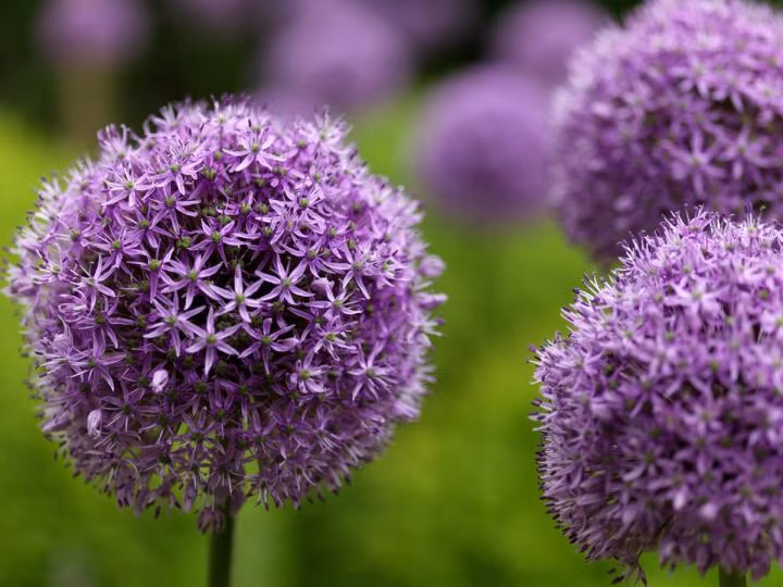 f46ac43bf4938cf4452f5135da62d802