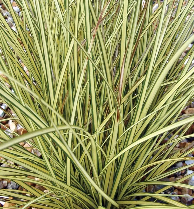 f46cff37f3ef6892f04100a45b46f224