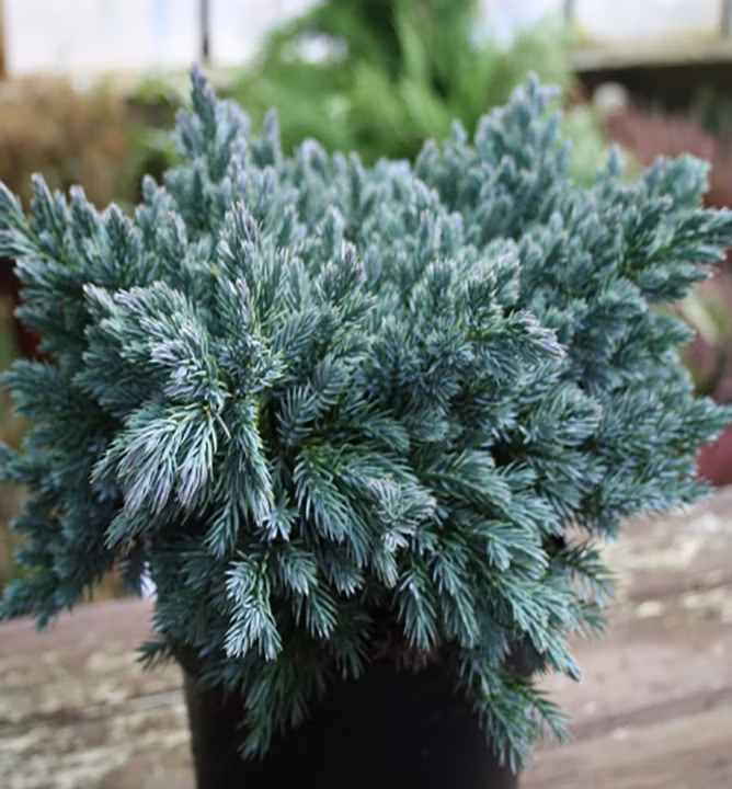 f4f94947afc382a5ad5f14bcec0c887d