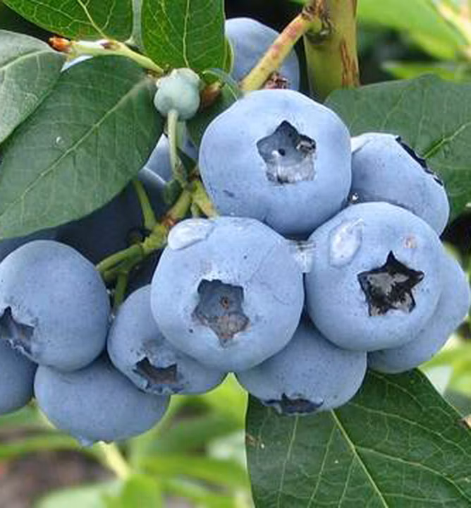 f5077fd007566aa859665898ae9ad6bc