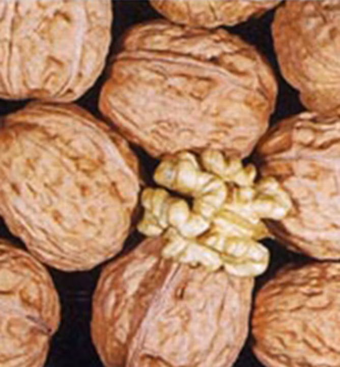 f54d048417941f59f753fd648bc3e279