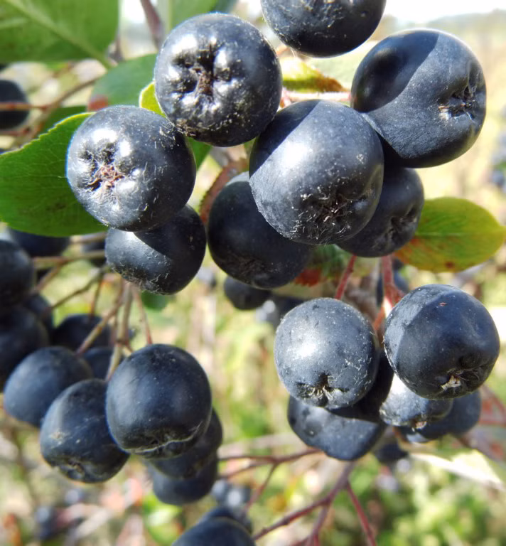 f54efc96c0b3cff1b34b957a419fd2fd