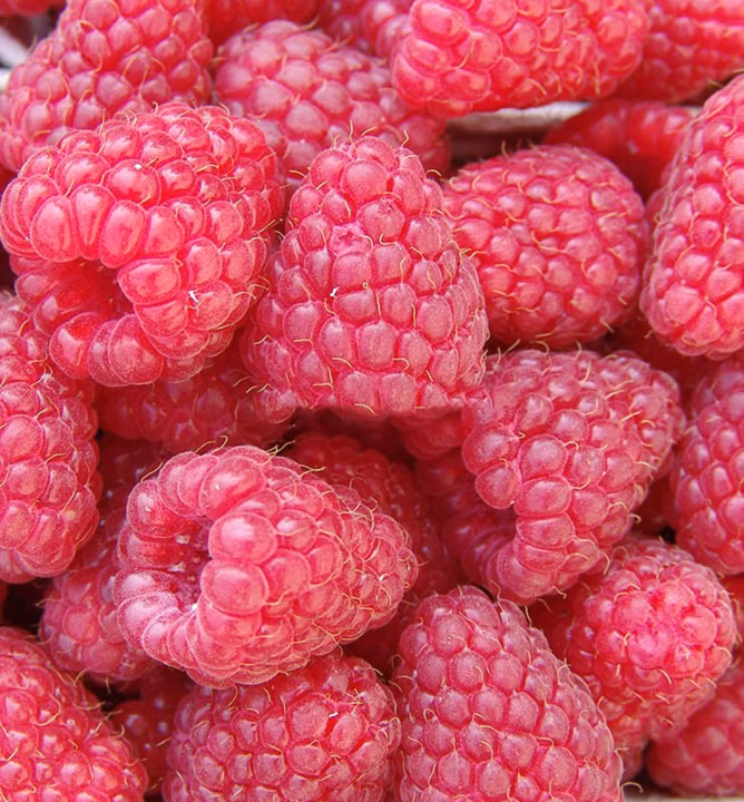 f57290fc33a02d71bf907a8b3a669837