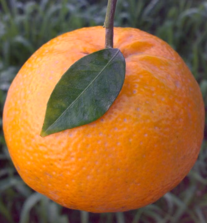 f577c08a5e4ea8c709af47daa227dd6d