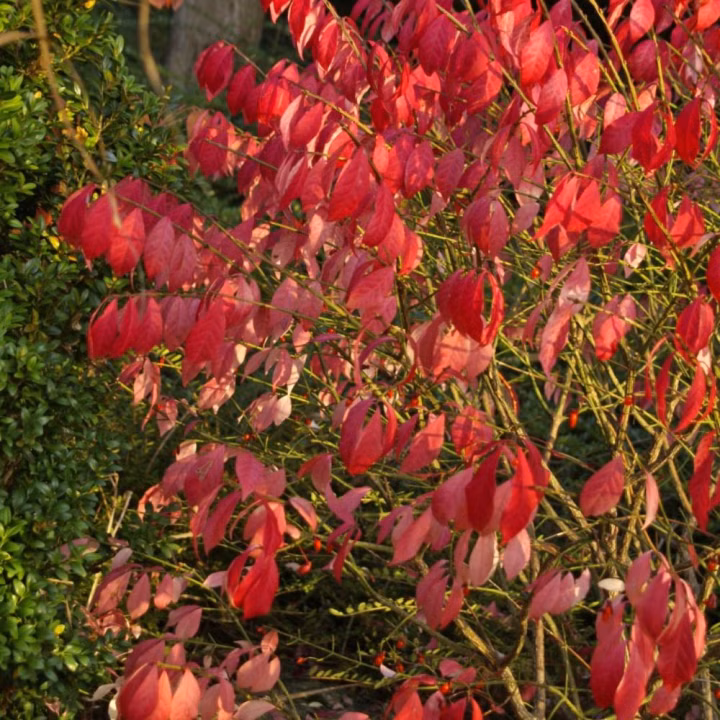 f58a90847c616d23c657521893db5abf