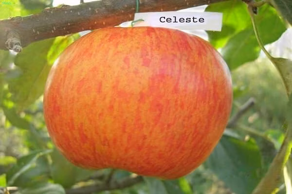 f59ee76c261382e537c71ad867ff97c1