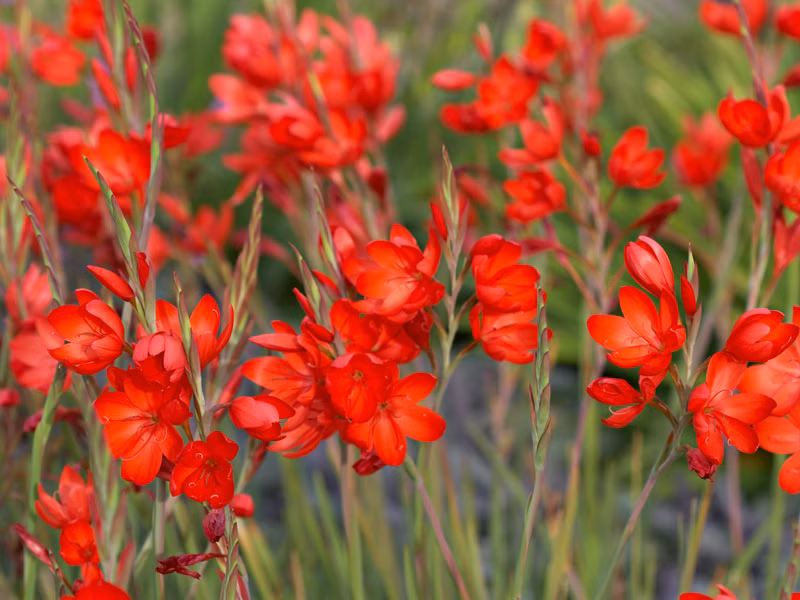 f5a2d0dd62e90d707e258e500a06ef68